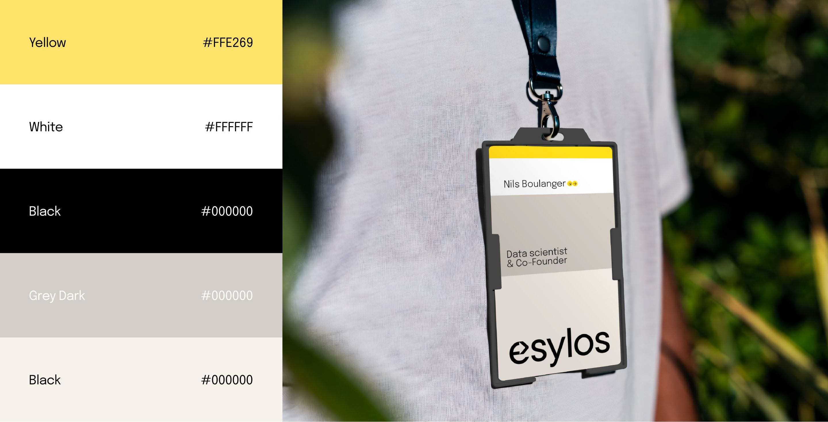 Grid of esylos website