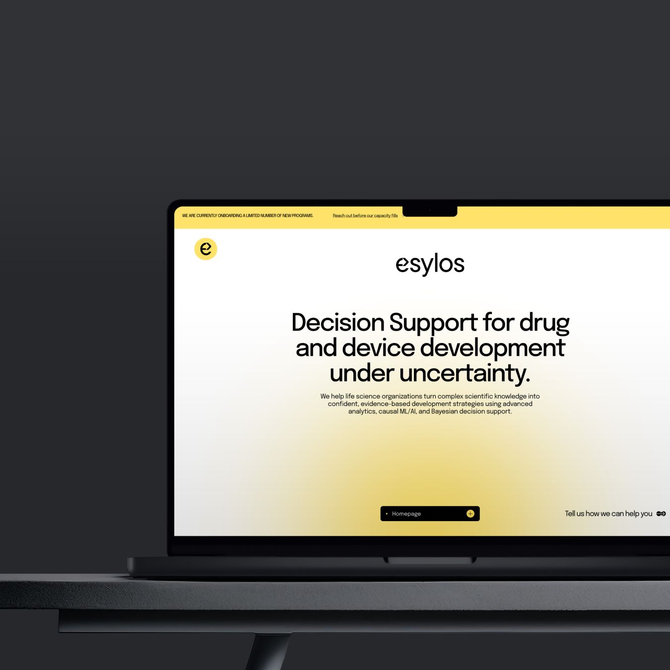 Logo esylos