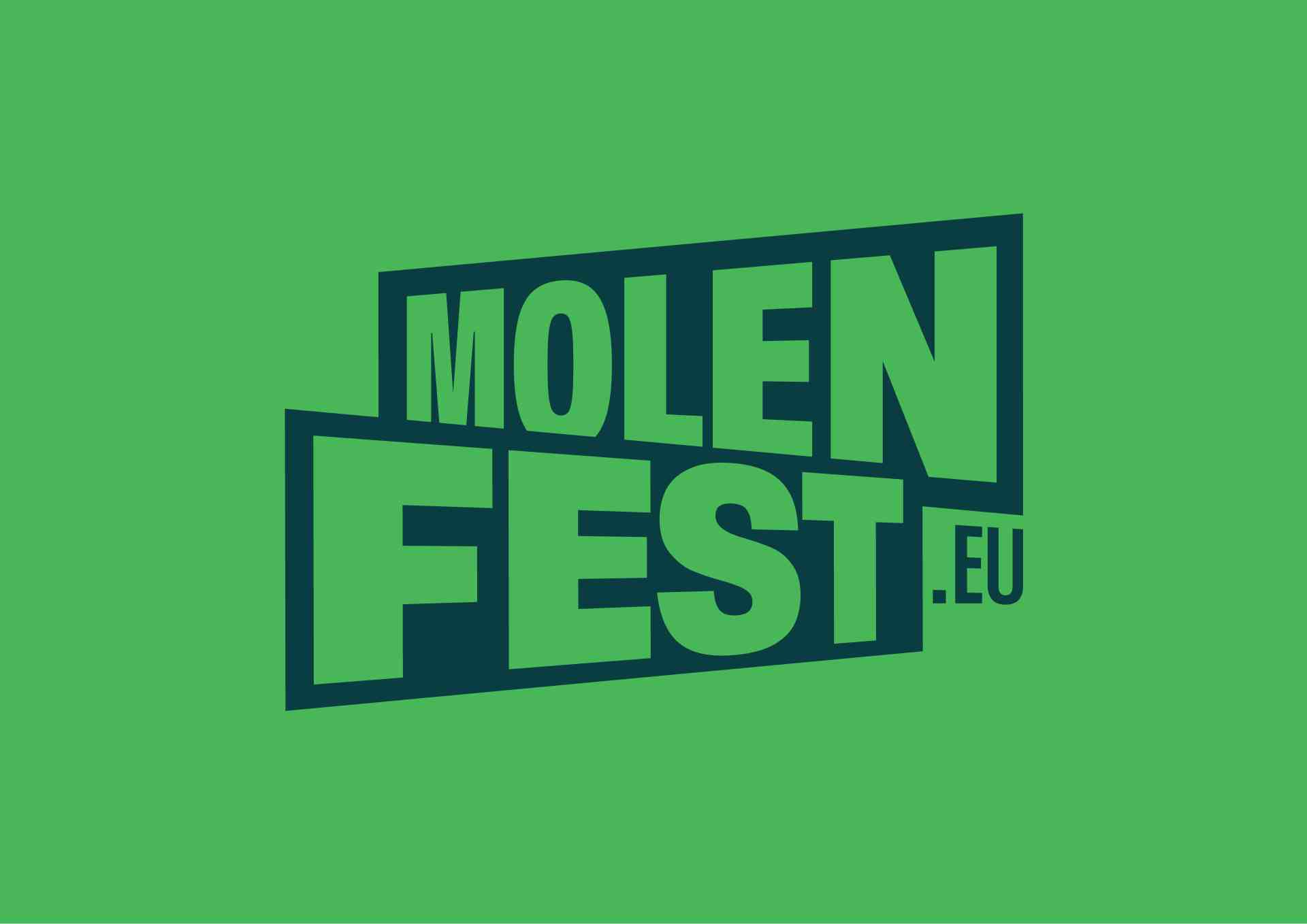 Grid of molenbeek website