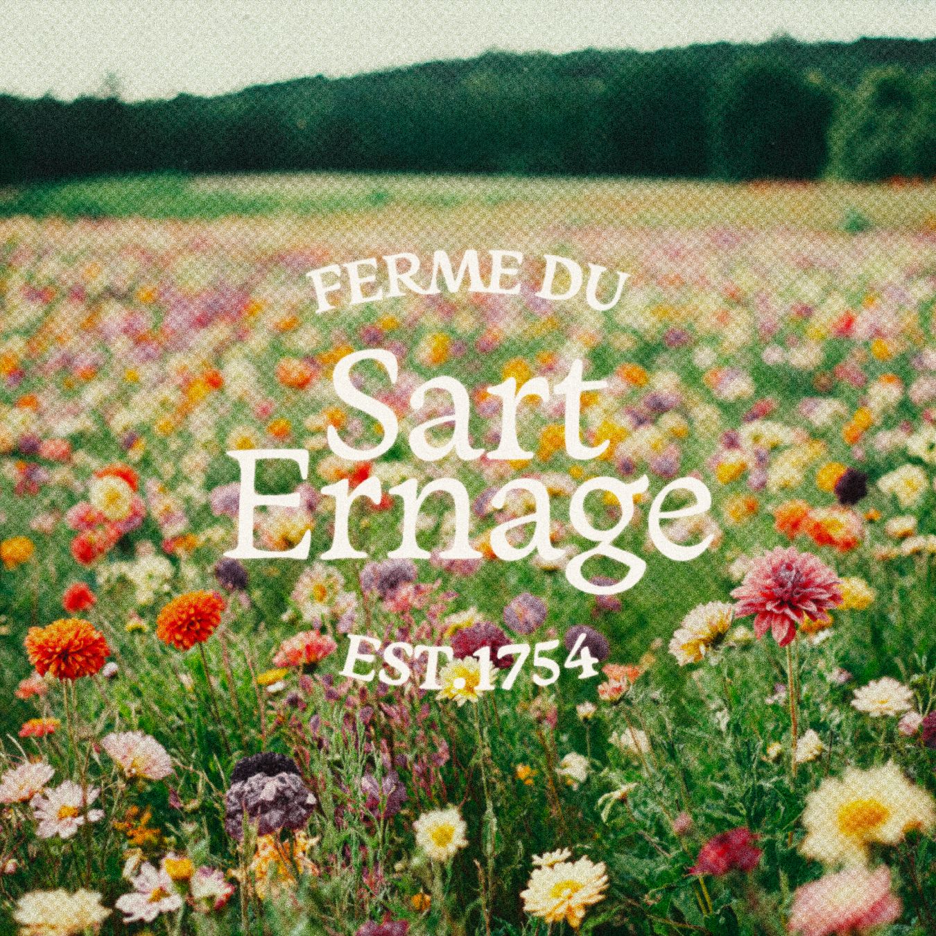 Table with beer and pizza