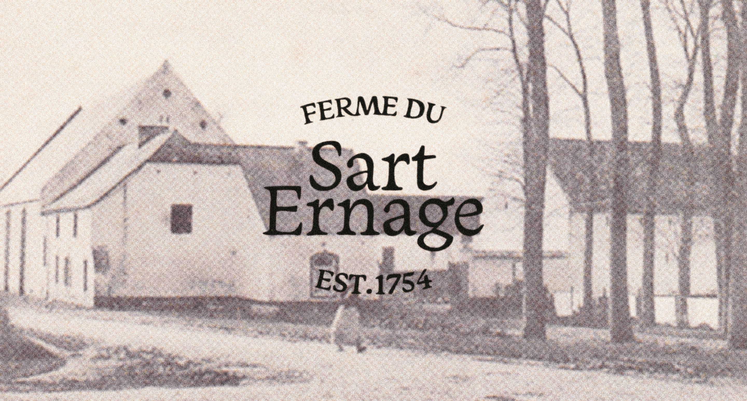 Laptop showing the sarte website