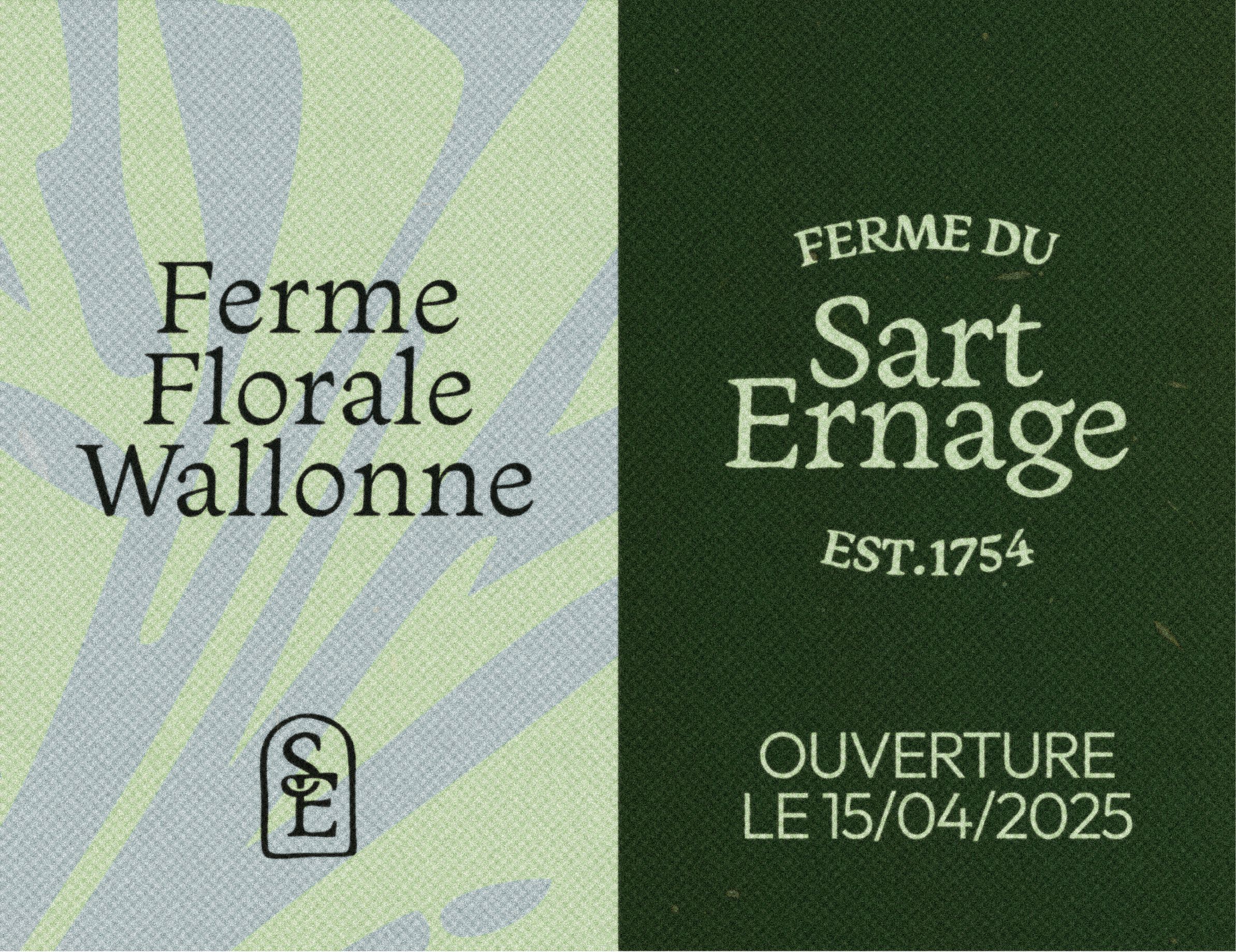 Laptop showing the sarte website