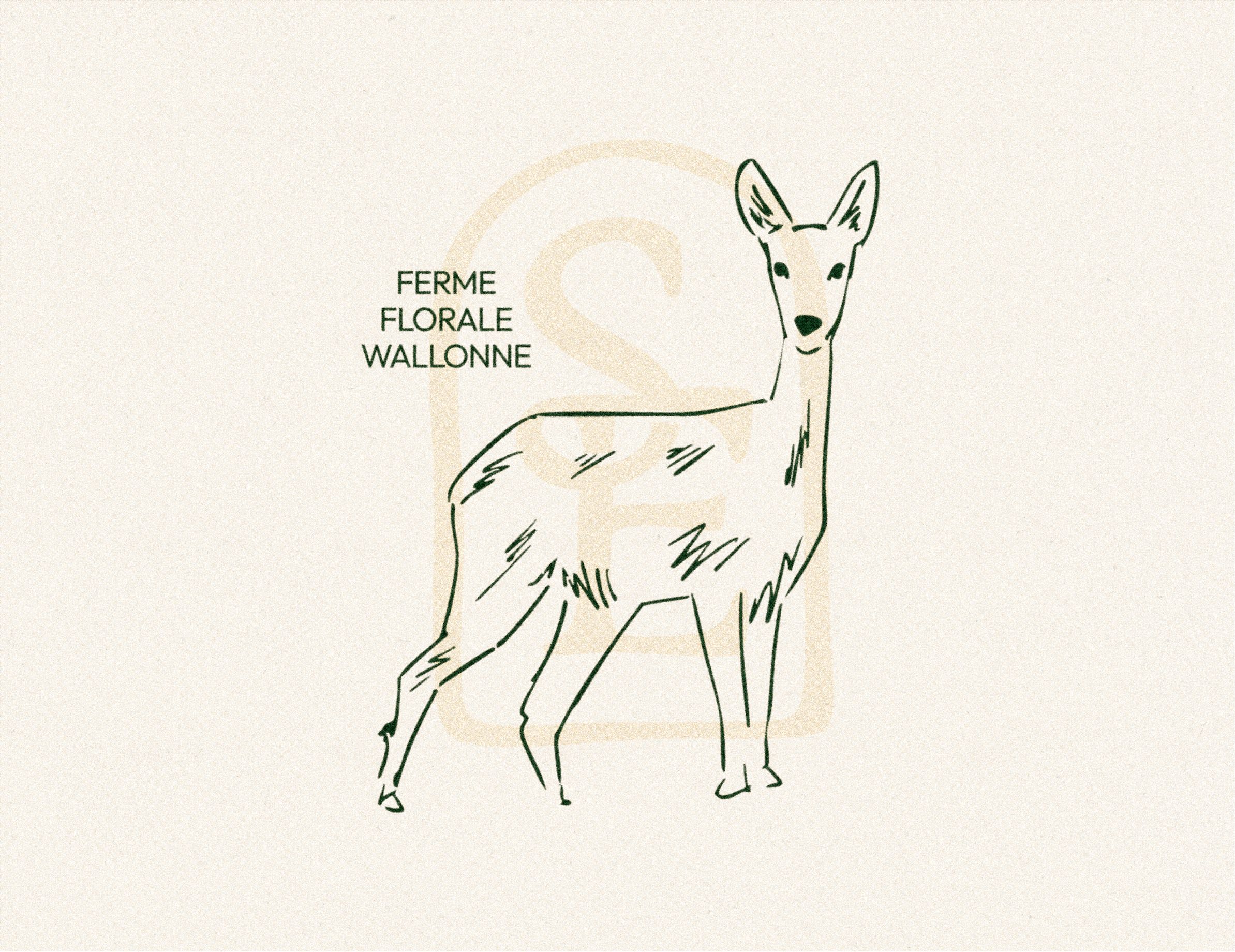 Laptop showing the sarte website