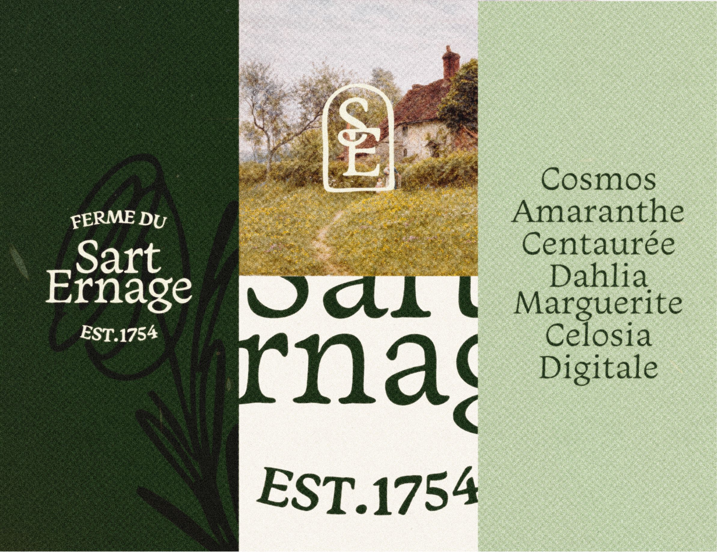 Laptop showing the sarte website