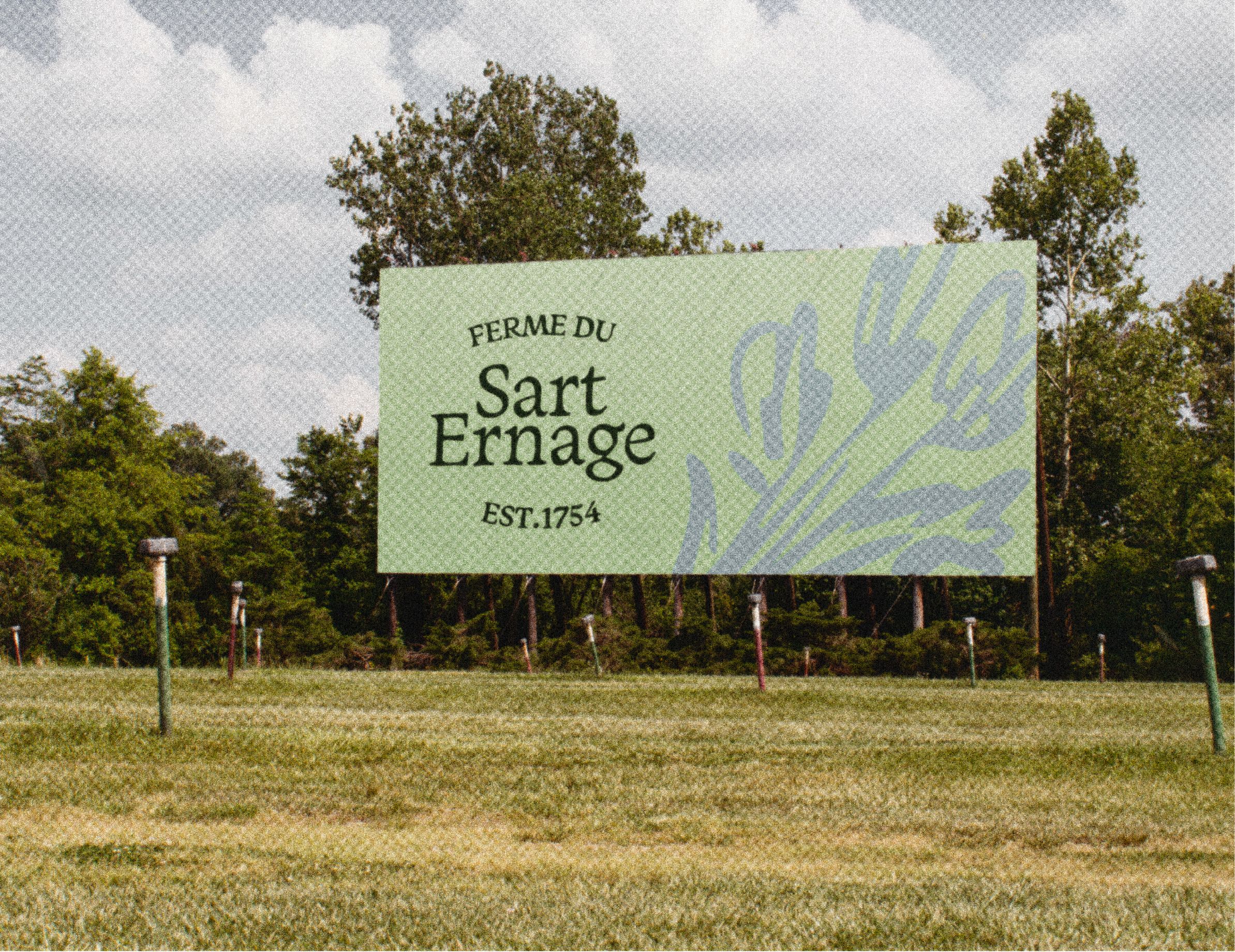 Laptop showing the sarte website